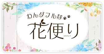 花便り はなだより わんダフルネイチャーヴィレッジ内に咲く四季折々の開花情報をお伝えします